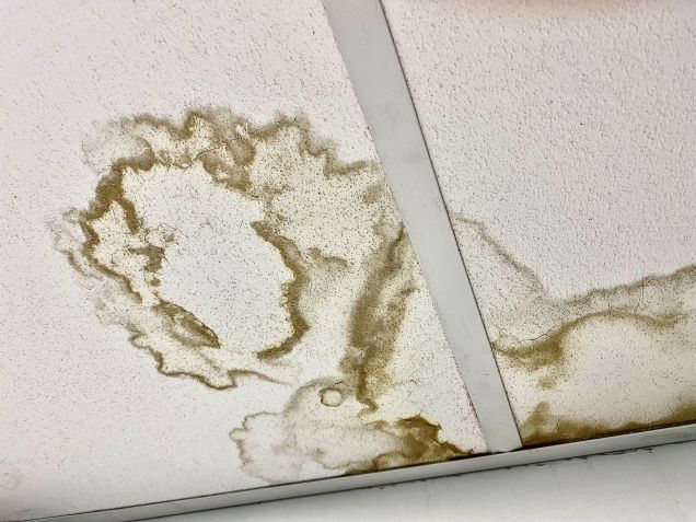 Se você notar uma área úmida no teto, isso significa que há umidade indesejada nessa área / Getty Images