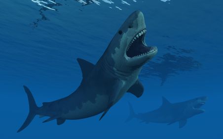 Ilustração de um megalodonte: tubarão foi extinto há cerca de 3,6 milhões de anos, de acordo com o Museu de História Natural do Reino Unido, por razões que cientistas ainda não entendem