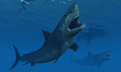 Ilustração de um megalodonte: tubarão foi extinto há cerca de 3,6 milhões de anos, de acordo com o Museu de História Natural do Reino Unido, por razões que cientistas ainda não entendem
