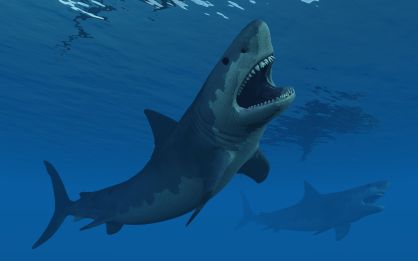 Ilustração de um megalodonte: tubarão foi extinto há cerca de 3,6 milhões de anos, de acordo com o Museu de História Natural do Reino Unido, por razões que cientistas ainda não entendem