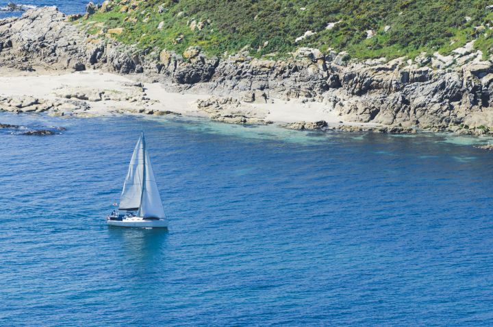 Ao menos 50% dos mares sofreram com a mudança de cor / Getty Images