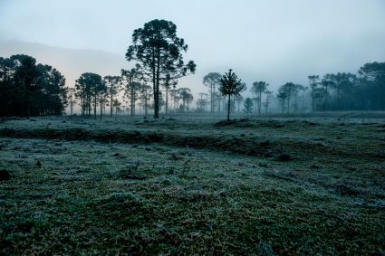 No Sul, o ar polar atua com mais força e a temperatura cai para valores entre 0°C e 5°C em grande parte da Região ocasionando geada