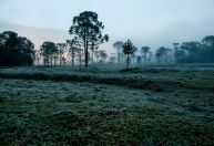 Massa de ar frio toma conta de boa parte do Brasil nesta quinta-feira (10)