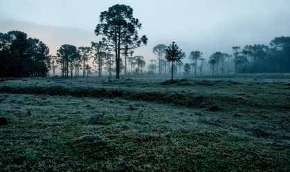 No Sul, o ar polar atua com mais força e a temperatura cai para valores entre 0°C e 5°C em grande parte da Região ocasionando geada
