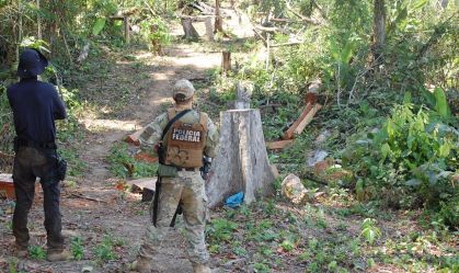 PF retira madeireiros, pecuaristas e grileiros de terra indígena no Pará