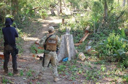 PF retira madeireiros, pecuaristas e grileiros de terra indígena no Pará