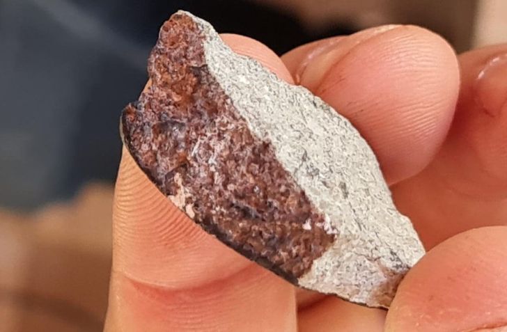 Imagem do meteorito encontrado em Goiás / Reprodução -Universidade Federal de Jataí