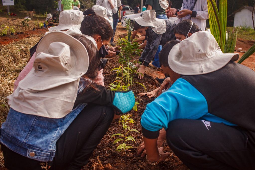 agrobiodiversidade-reflorestamento