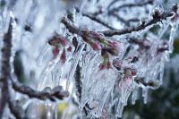 Fim de semana será frio e chuvoso no Sul e Sudeste; veja previsão