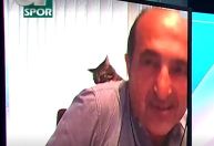 Gato dá um “tapa” em comentarista esportivo durante transmissão; veja o vídeo