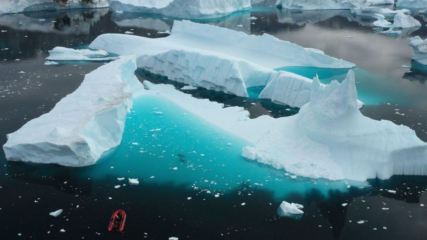 Um habitat de iceberg na Groenlândia serviu como local de estudo, onde os pesquisadores coletaram um espécime juvenil de Liparis gibbus / Peter Kragh