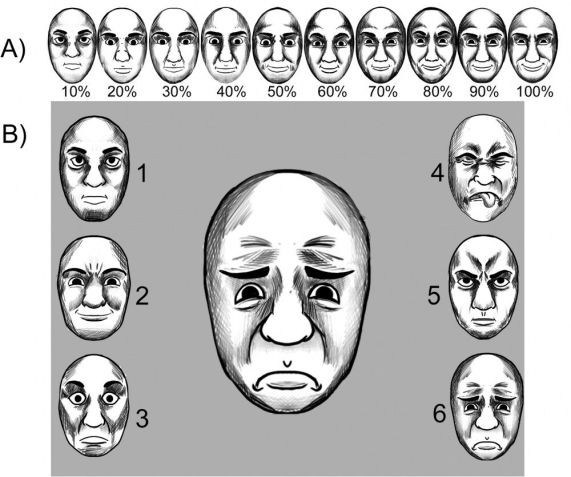 Exemplo ilustrativo do contínuo linear de faces criado pela fusão de imagens representando a expressão neutra e o rosto de felicidade / Pesquisadores da USP