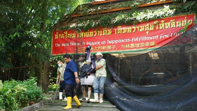 O Zoológico de Chiang Mai, na Tailândia, realiza um exercício prático sobre como responder a animais fugitivos em 23 de agosto. / Reprodução/Zoológico de Chiang Mai