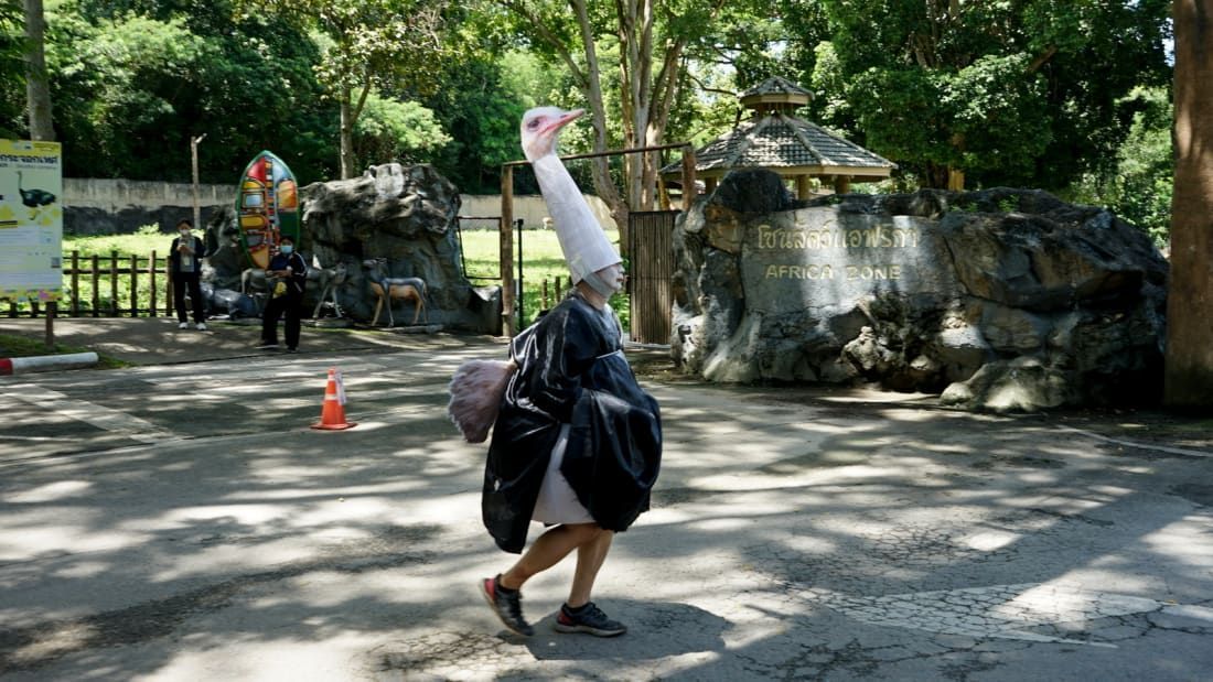 Homem fantasiado de avestruz em zoológico