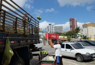 Atividade econômica no Nordeste sobe 1,8% no 1º trimestre, diz Banco Central