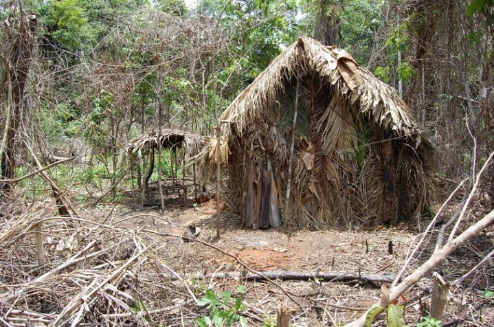 Imagem de uma palhoça do índio do buraco divulgada em 2018 / Arquivi/Funai