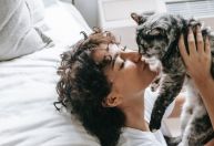 Existem mais "pais de gatos" do que de cachorros no mundo, aponta pesquisa