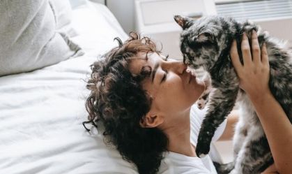Existem mais "pais de gatos" do que de cachorros no mundo, aponta pesquisa