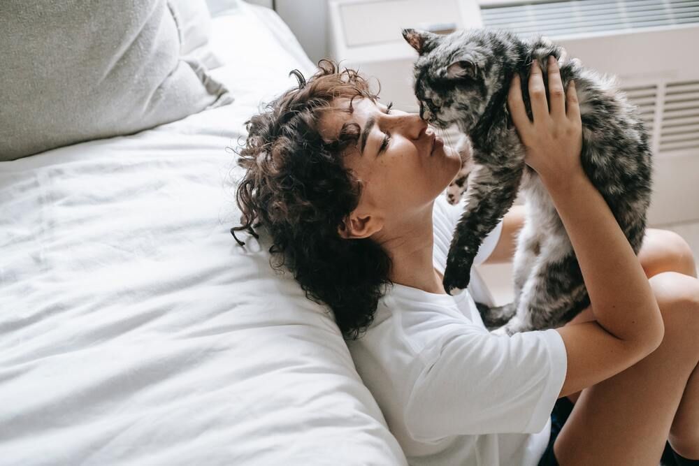 Pesquisa identifica 5 tipos de donos de gatos / Imagem: Pexels/Sam Lion