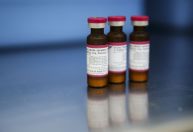 Temos oportunidade única para voltar a eliminar o sarampo, diz infectologista