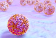 Cientistas identificam mecanismos associados à microcefalia por Zika