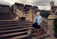 Corgis da rainha vão morar com o duque e a duquesa de York