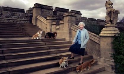Saiba com quem ficam os cães da rainha Elizabeth II