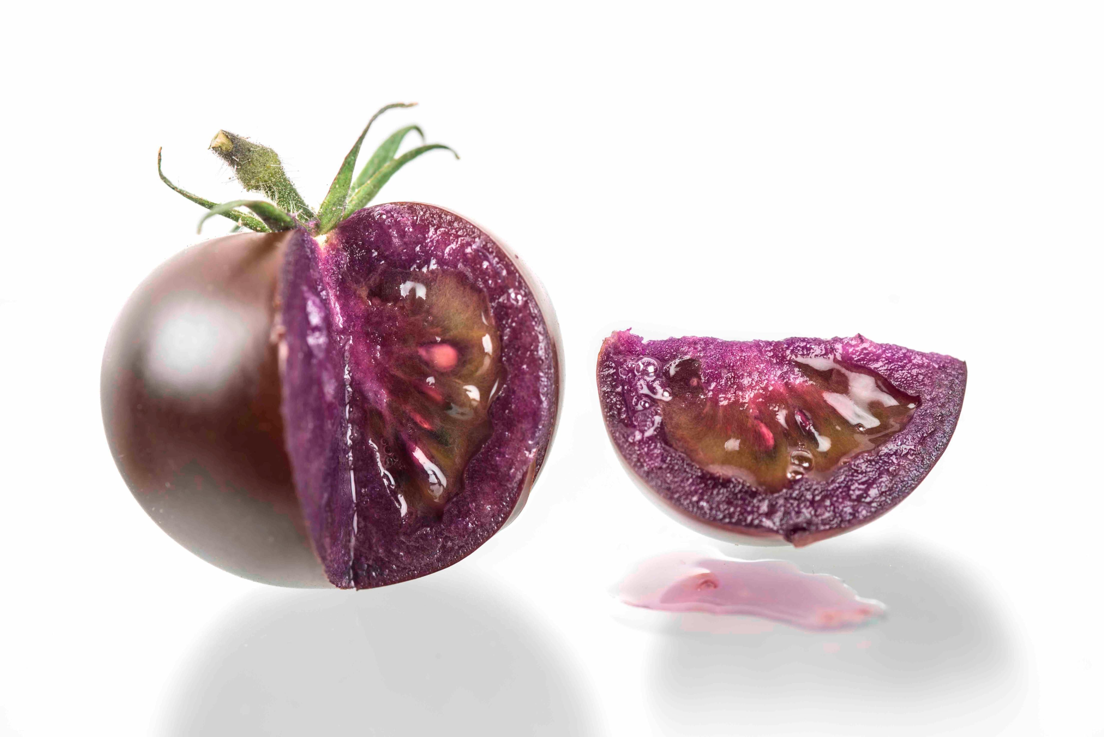 O USDA aprovou um tomate roxo geneticamente modificado que possui benefícios para a saúde e uma vida útil maior do que os tomates vermelhos padrão.