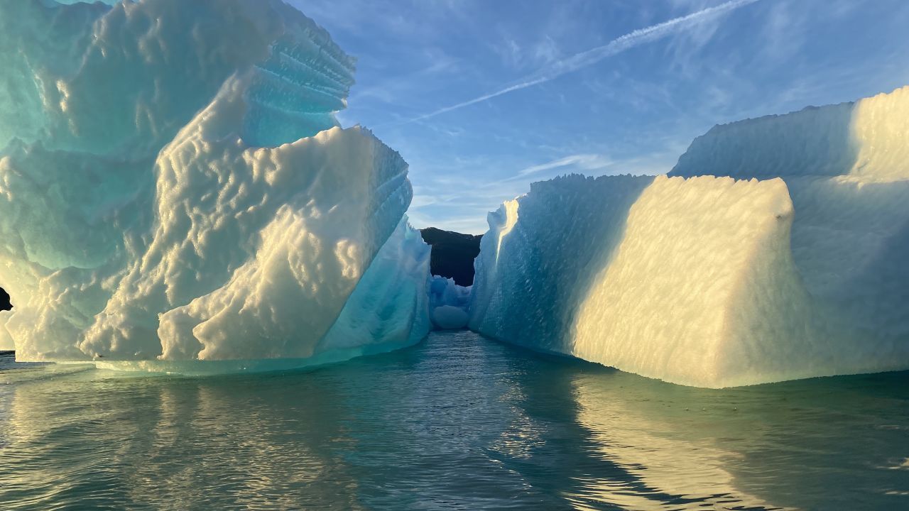 Icebergs que se desprenderam no final da geleira Le Conte, no Alasca. / Erin Pettit
