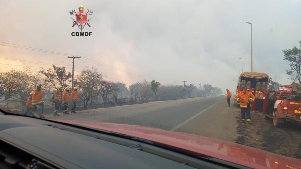 40 brigadistas estão envolvidos no combate às chamas, além de 15 colaboradores do instituto e 90 militares do Corpo de Bombeiros do Distrito Federal (CBMDF) / Corpo de Bombeiros do Distrito Federal