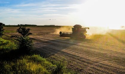 BB ainda vê inadimplência resiliente em agro, mas com perspectiva de alívio