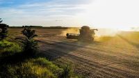 BB ainda vê inadimplência resiliente em agro, mas com perspectiva de alívio