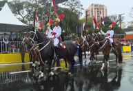 Veja imagens do desfile cívico-militar em São Paulo nesta quarta-feira (7)