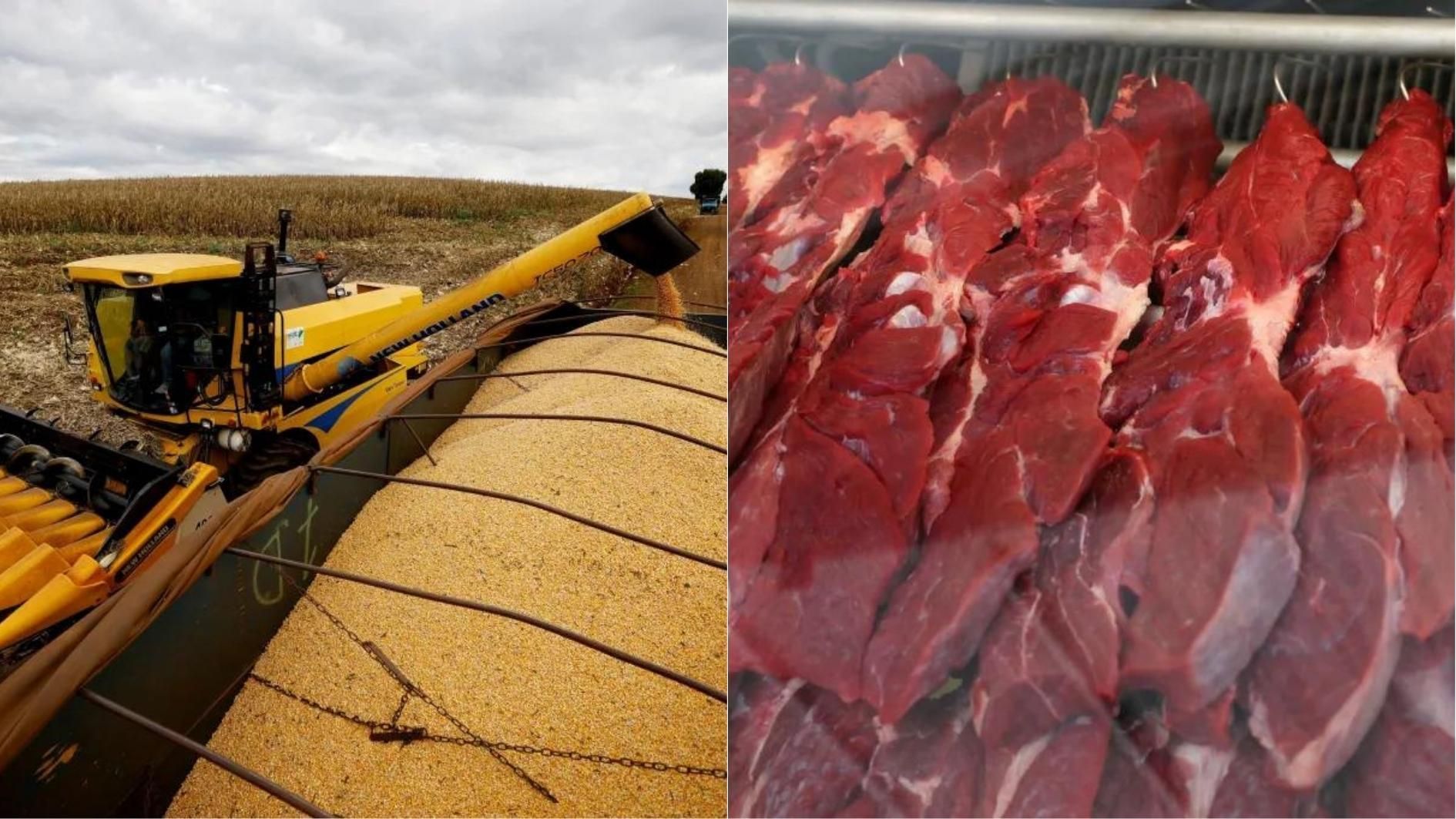 Colheita de milho e carne bovina em açougue