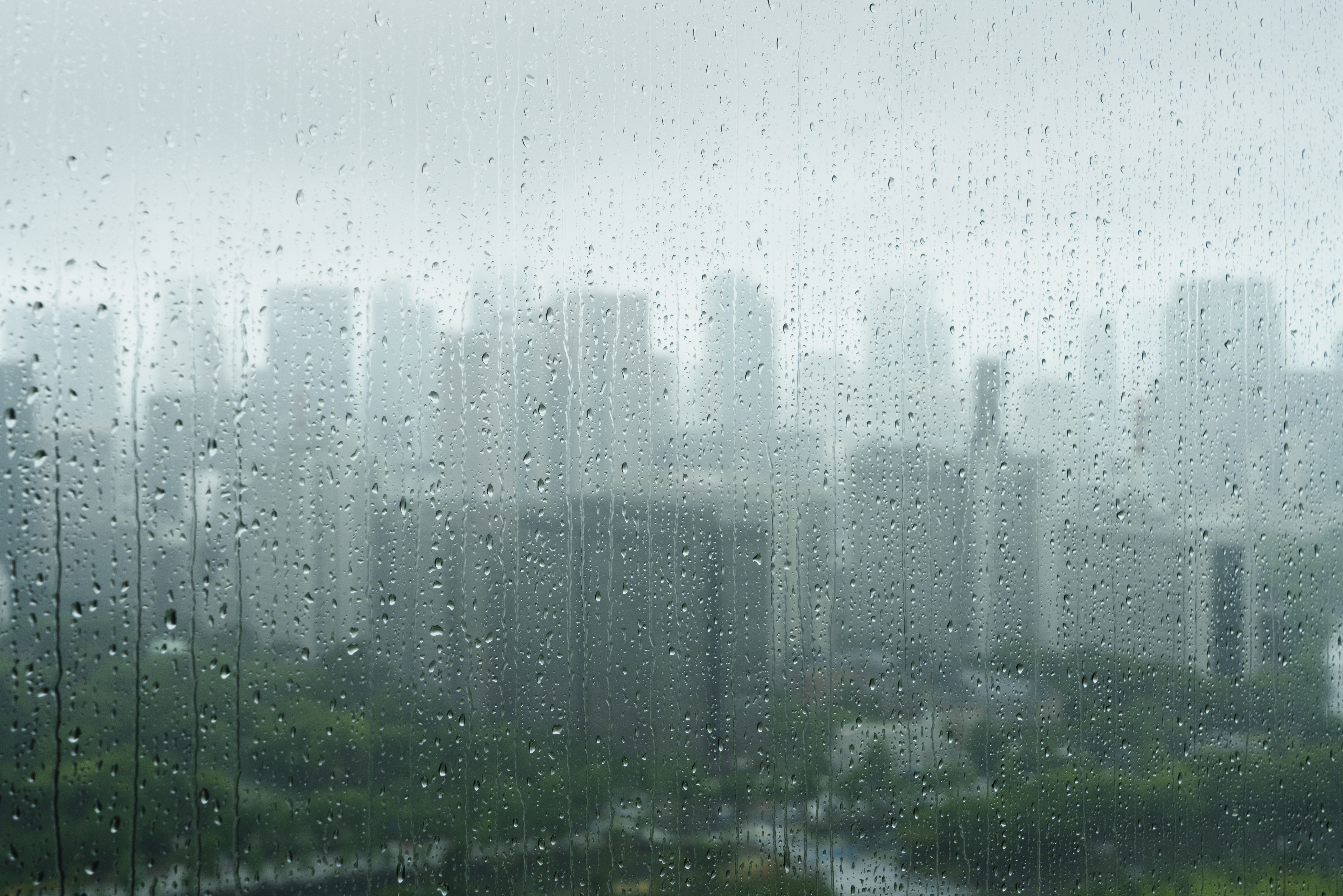 City view with greenery spreading on a rainy day