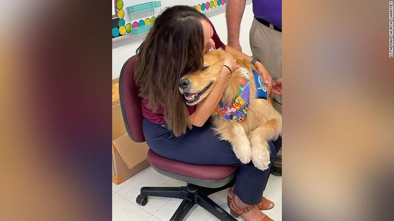 O cão de assistência emocional Elijah de Wichita Falls, Texas, recebe um abraço na Dual Language Academy em Uvalde / Lutheran Church Charities / Divulgação