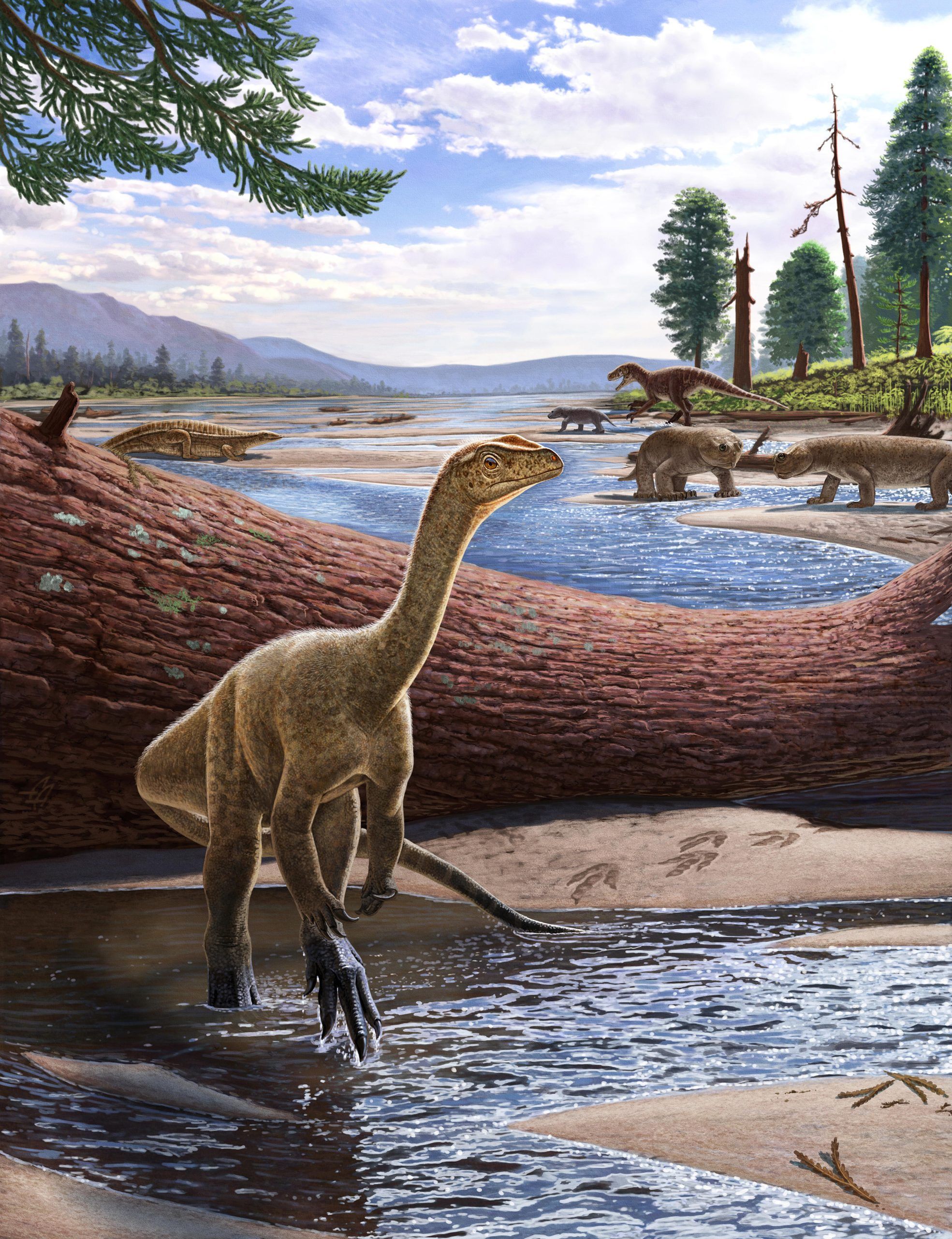 Mbiresaurus-Raathi-scaled (1)