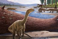 Pesquisadores descobrem dinossauro africano de mais de 200 milhões de anos