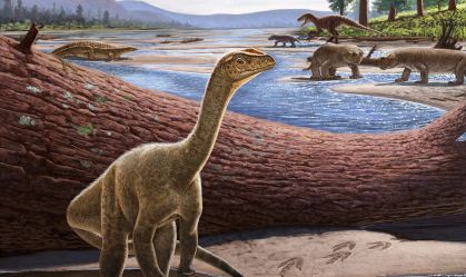 Pesquisadores descobrem dinossauro africano de mais de 200 milhões de anos