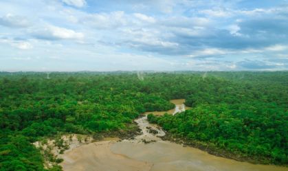 Biofílica Ambipar conserva a maior área de créditos de carbono do mundo