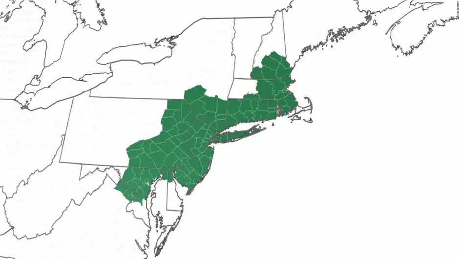 As áreas nos Estados Unidos que estão sob alerta de inundação. / Reprodução