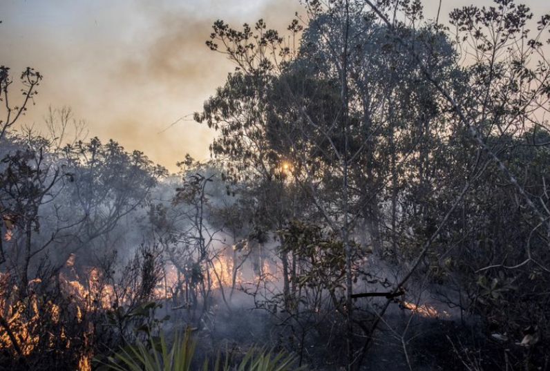 Incêndio no Parque Nacional em Brasília