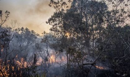 Fogo no Parque Nacional de Brasília atinge área igual a 5.000 campos de futebol
