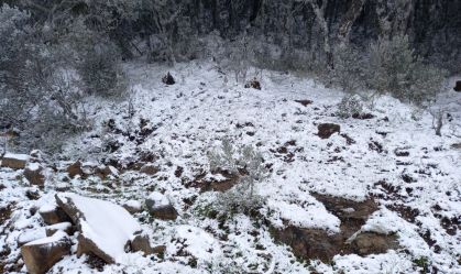 Neve cai no Sul do Brasil em pleno início de primavera
