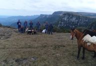Cães sobrevivem a queda de 200 metros em cânion na Serra Catarinense