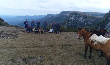 Cães sobrevivem a queda de 200 metros em cânion na Serra Catarinense