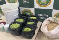 Homem é preso por pintar feijão de verde para enganar clientes no Rio