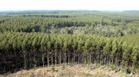 Embrapa desenvolve ferramenta para mapear áreas agrícolas abandonadas