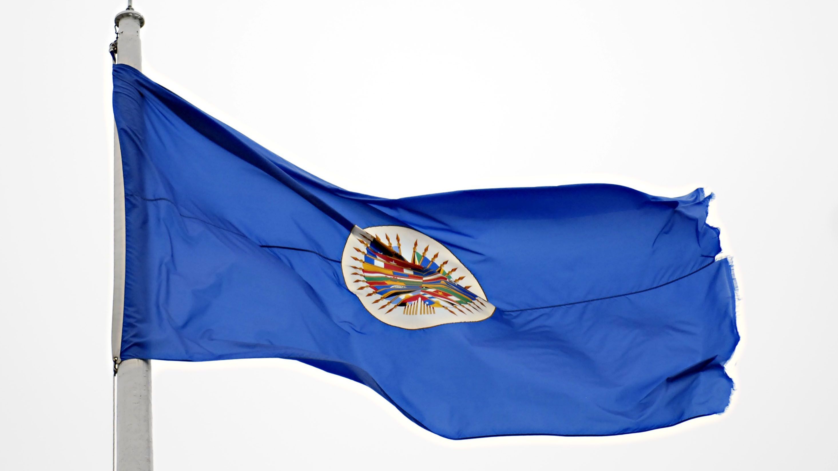 bandeira oea