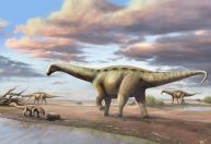 Cientistas descobrem nova espécie de dinossauro anão no interior de SP